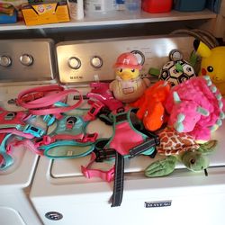 Dogs items