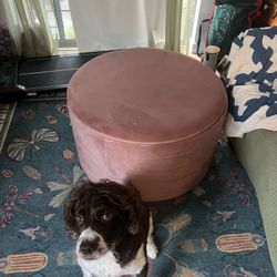 Light Pink Velvet Storage Ottoman