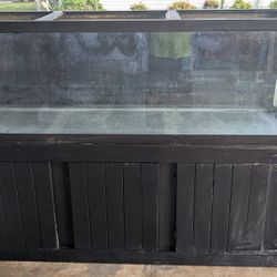 125 Gallon Fish Tank