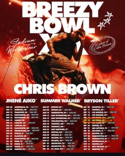 Chris Brown Tickets Sec 130