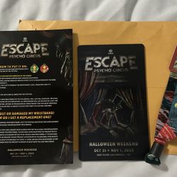Escape: 2 Day General Admission Ticket