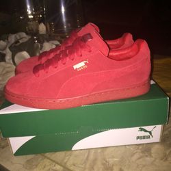 Pumas