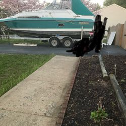 For Sale  Proyect Boat 