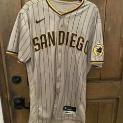 Team Issued Game Worn Castillo Nike Padres Away Jersey Auth for