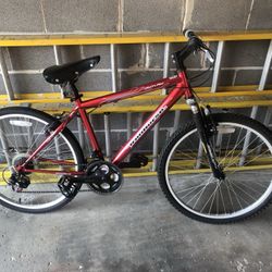 Ironhorse Outlaw Bike