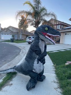 Inflatable costume