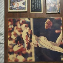 Albert Belle Memorabilia 