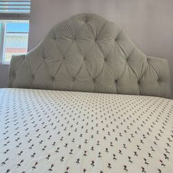Queen Tufted Velvet Upholstered Headboard and bedframe – Light Gray, Glam/Luxury Style