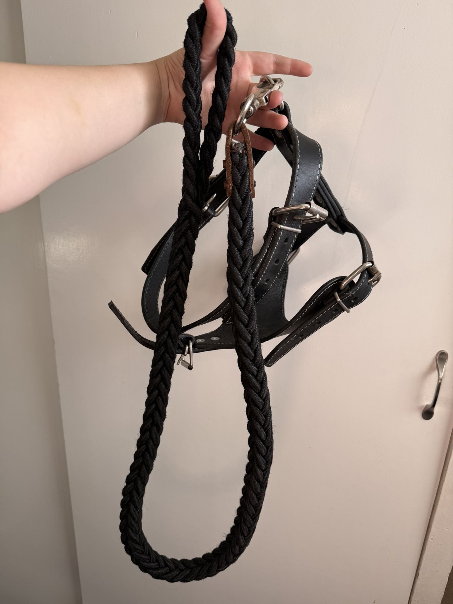 Adjustable Faux Leather Dog Harness + 4ft Braided Leash – Like New 🐾✨