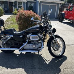 2004 Harley Davidson Sportster Custom 883 XL