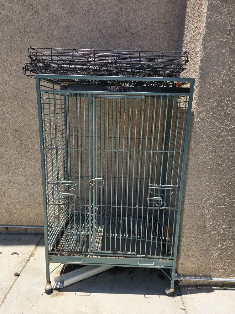 Bird Cage