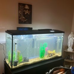 55 Gallon Fish Tank