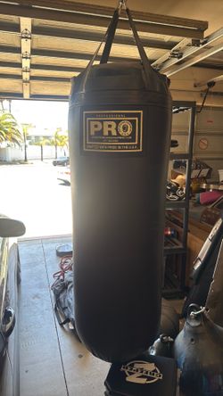 Pro Boxing Heavy Bag