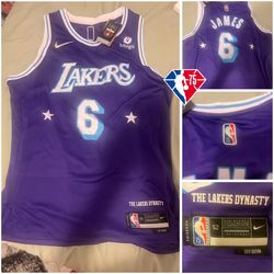 Los Angeles Lakers LeBron James Purple Jersey - City
