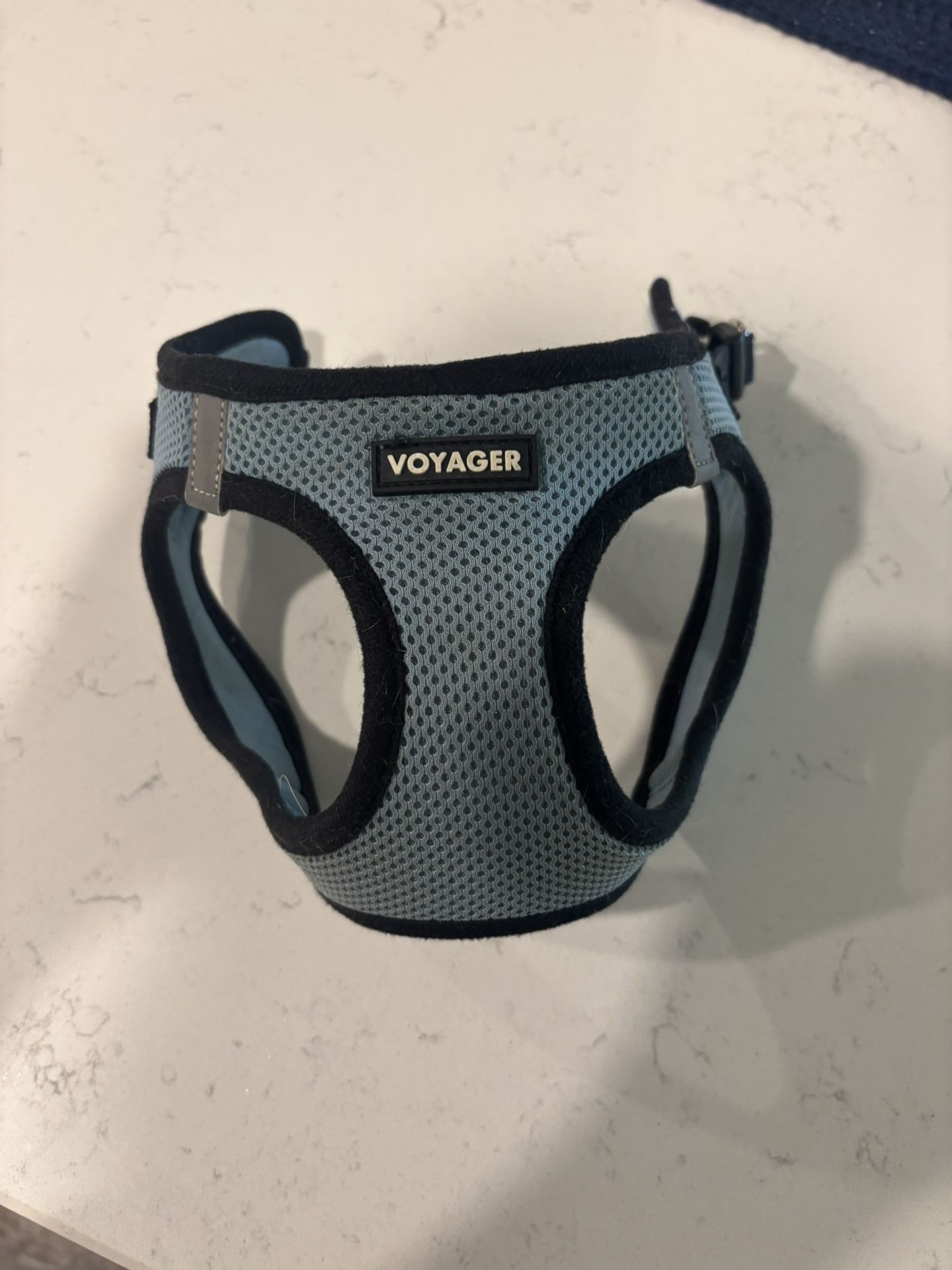 Voyager XS Dog Collar