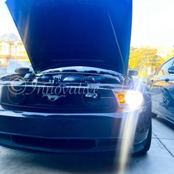 H7 LED Light Bulbs, 8000LM Per Set 6500K LED Light Bulbs with Fan & EMC, Halogen Headlight Bulb Replacement, Pack of 2 