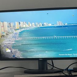 Computer Monitor