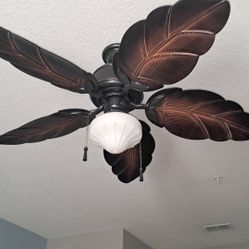Ceiling Fan 