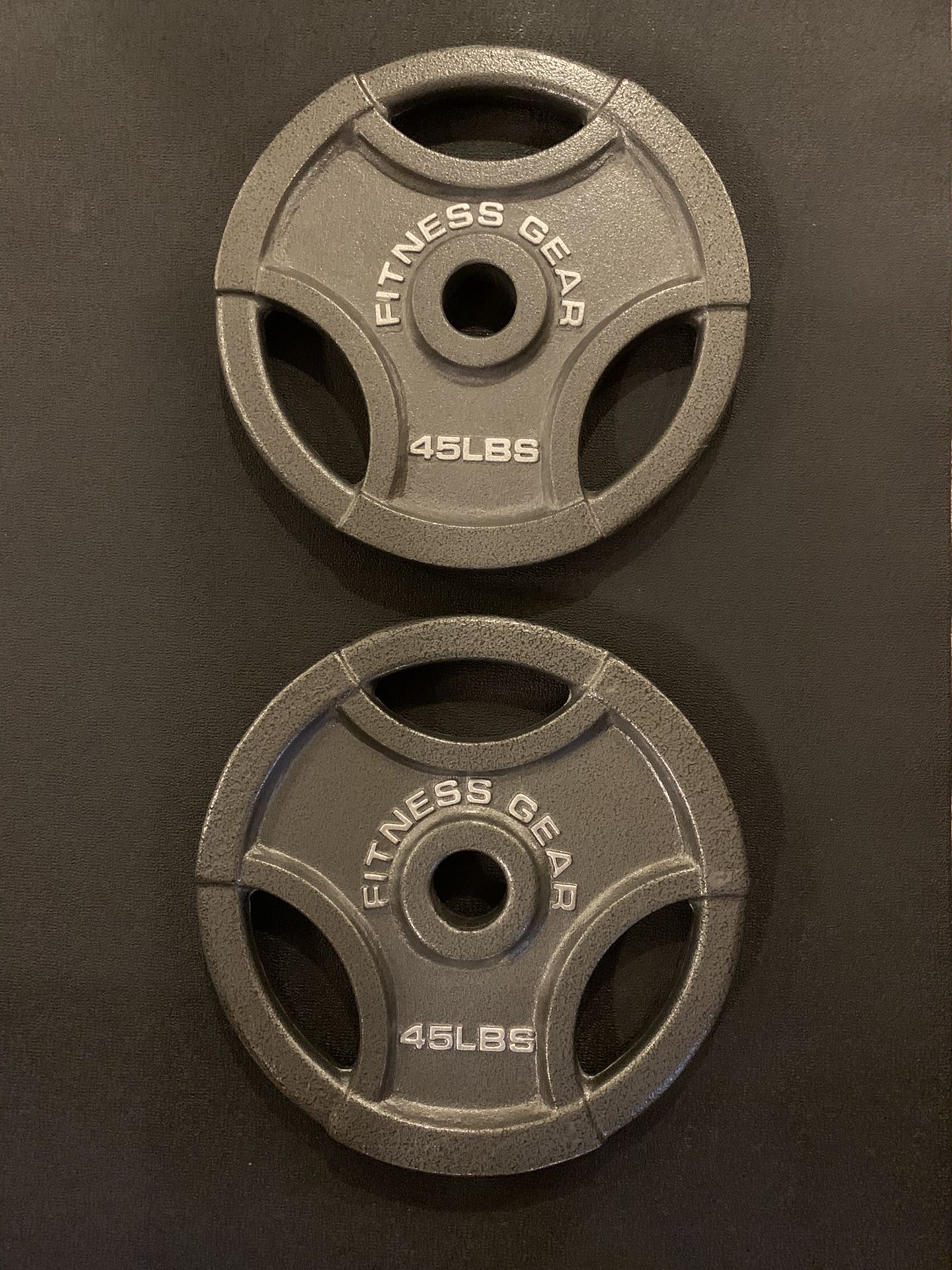 45 lbs Fitness Gear Olympic Weight Plates