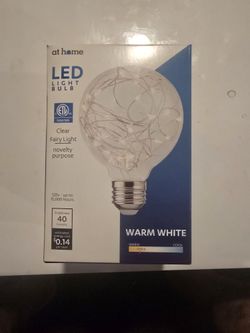 LED Fairy Light Bulb