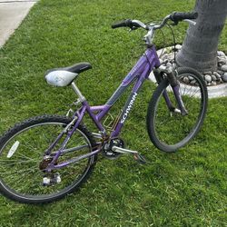 Purple Schwinn Mountain Bike