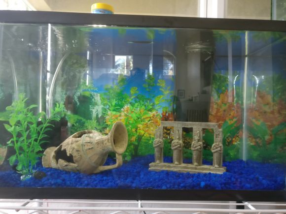 Brand new 10 gallon aquarium