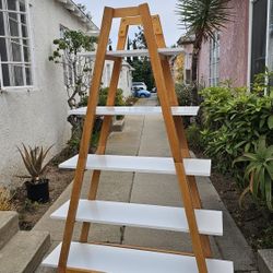 Book Shelf/Case A ladder 🪜 NATURAL wood 