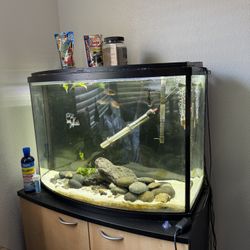 Fish Tank