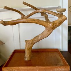 Lava  Branch Perch for Birds