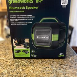 Greenworks POWERALL 24V Outdoor Bluetooth Portable Speaker with 2Ah Battery and Charger Green