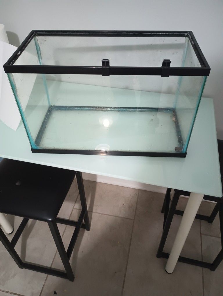 Fish Tank 