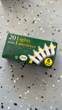 Holiday mini light indoor