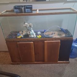 Big fish tank