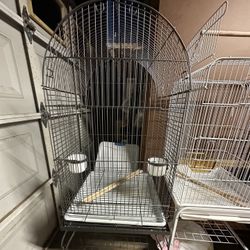 Bird Cage