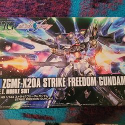 HG 1/144 ZGMF-X20A Strike Freedom Gundam 