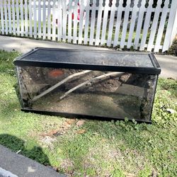 FREE - 20 Gallon Long Reptile Tank