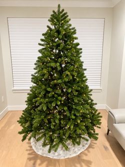 Christmas Tree 7.5 feet - Unlit