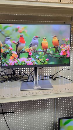 HP E24 G4 23.8" FHD IPS LED Monitor - Black 111928-1  JAR