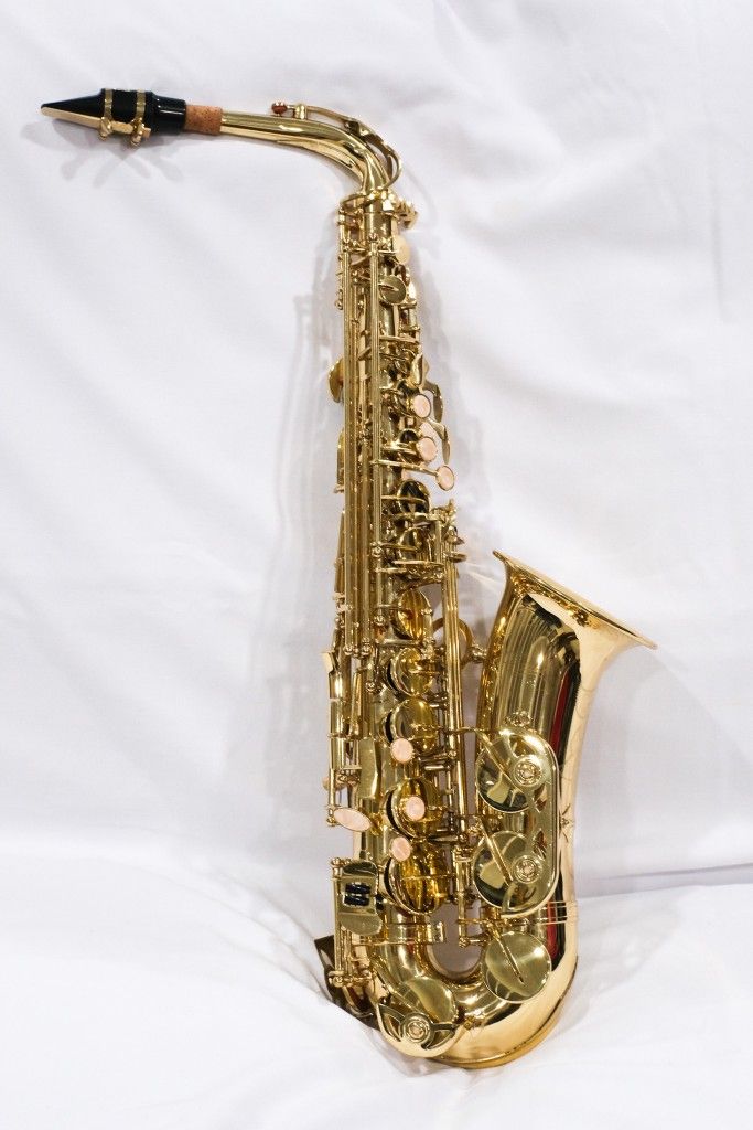 Beginner Student Alto Saxophone 