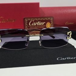 Cartier Sunglasses 