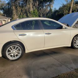 2010 NISSAN MAXIMA  WHITE WITH TAN INTERIOR 