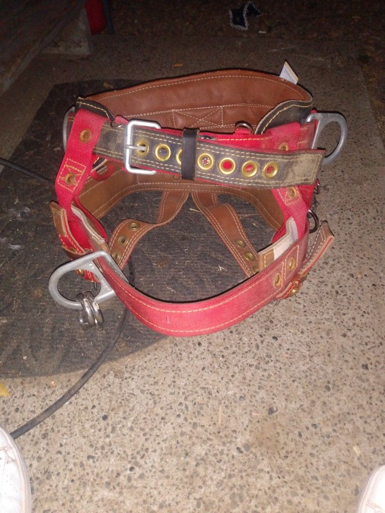 Weaver Climbing Harness