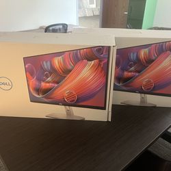 Two Dell 24” Monitors