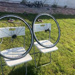 Dura Ace C 24 Wheels 