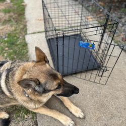 Small dog Crate 