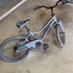 Boys Giant Moda Bicycle