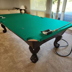 Pool Table Person Mvr