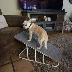 Doggy Ramp