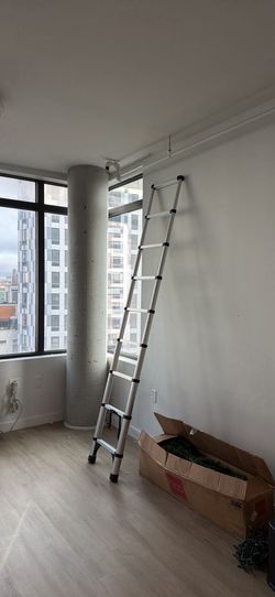 Collapsable ladder