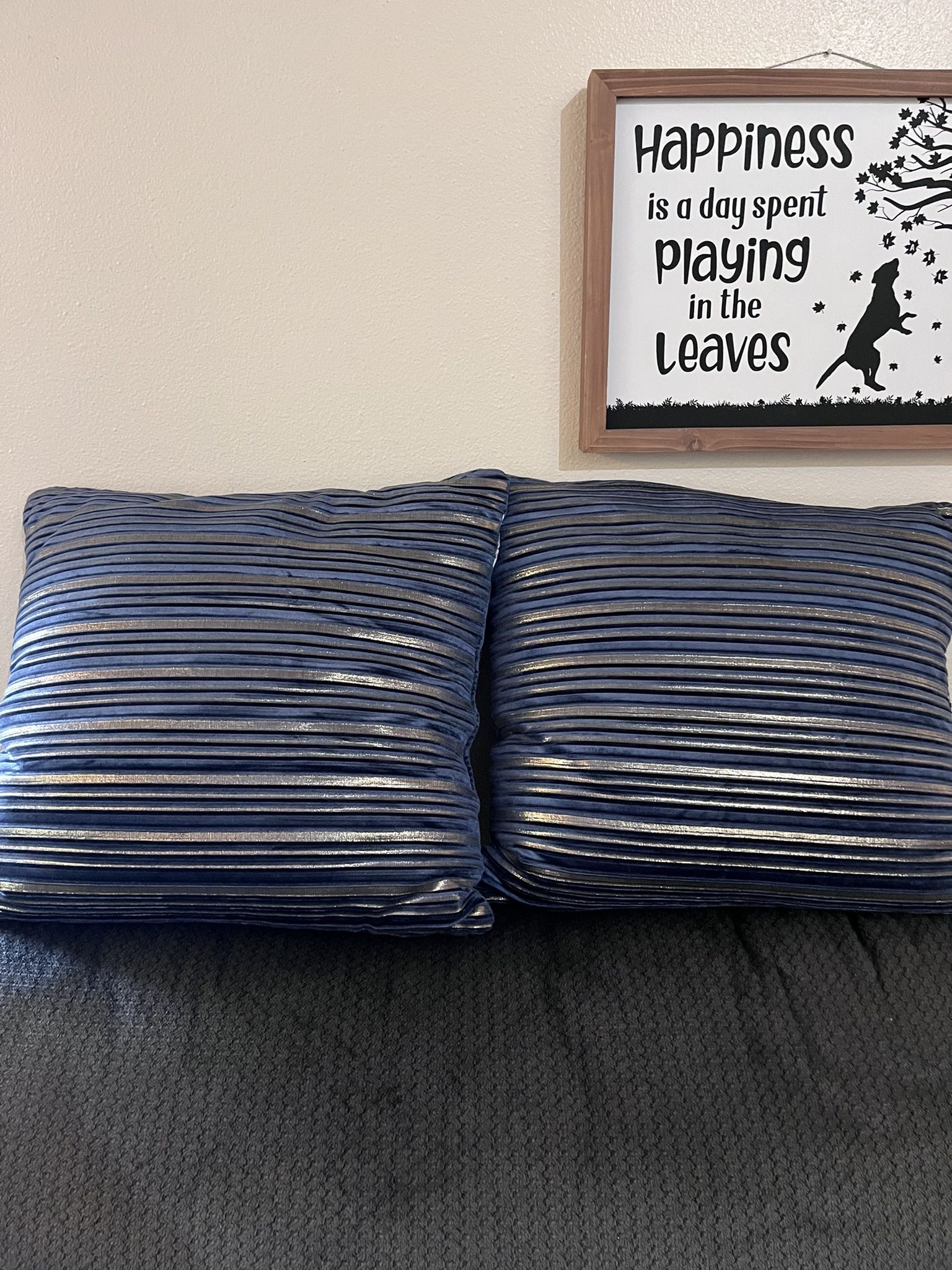 Set Of Two Pillows 